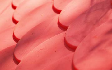 Boasley Cross plastic roof costs