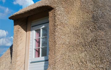 Boasley Cross thatch roof disadvantages